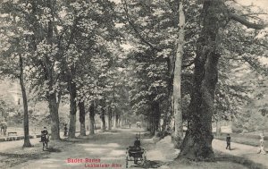 Baden-Baden Lichtentaler Allee 1909 German Posted Postcard Stengel Dresden