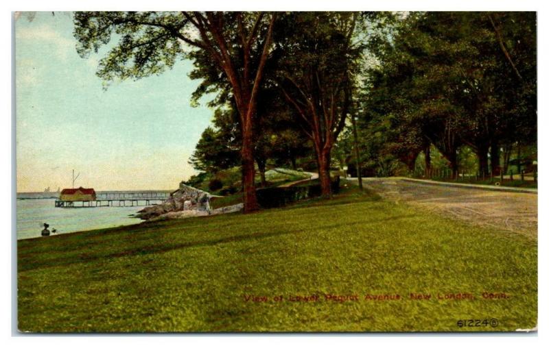Early 1900s View of Lower Pequot Avenue, New London, CT Postcard