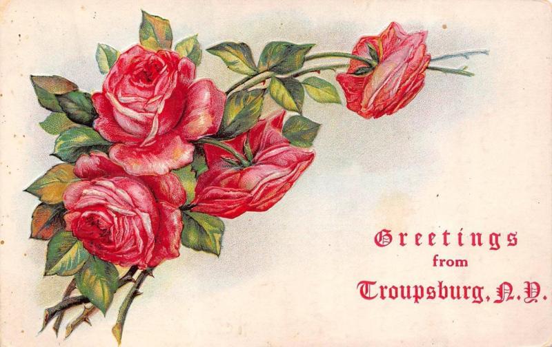 NY, New York  TROUPSBURG GREETINGS Embossed Red Roses  STEUBEN CO  1911 Postcard