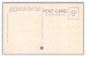 Texas State Capitol State Flag & Blue Bonnets The Texas State Flower Postcard