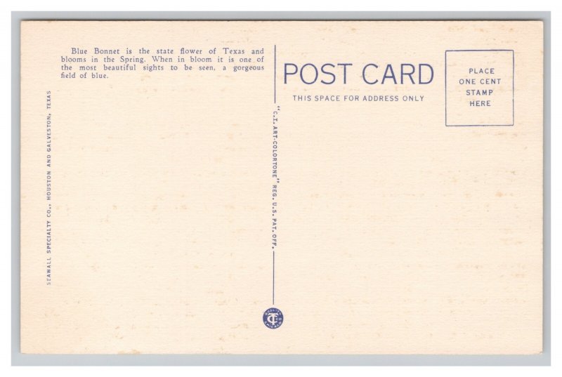 Texas State Capitol State Flag & Blue Bonnets The Texas State Flower Postcard