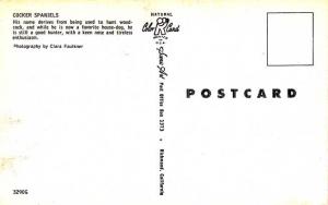 Four Cocker Spaniel Puppies - Dogs