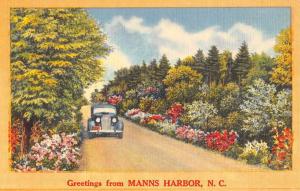 Manns Harbor North Carolina Scenic Road Early Auto Antique Postcard K81642