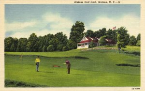 PC GOLF, NY, MALONE, MALONE GOLF CLUB, Vintage Postcard (b45821)