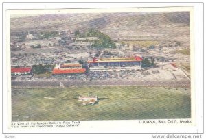 Air View Of The Famous Caliente Race Track, Tijuana, Baja California, Mexico,...