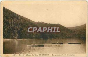 Old Postcard Beach Lake Chambon - The Great Forest Trees