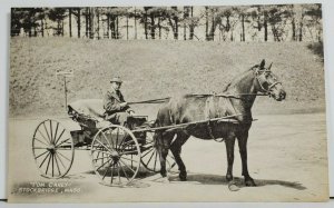 Stockbridge Mass TOM CAREY MAIL CARRIER with Horse & Carriage Photo Postcard P6