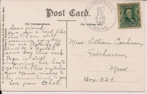 Cape Cod MA, Picking Cranberies, Cranberry Industry, 1908 Bournedale P.O. Bog