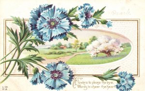 Flowers to Please the Eye Words to Cheer The Heart! Greetings Vintage Postcard