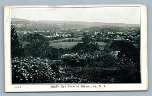 BLAIRSTOWN NJ BIRD'S EYE VIEW ANTIQUE POSTCARD