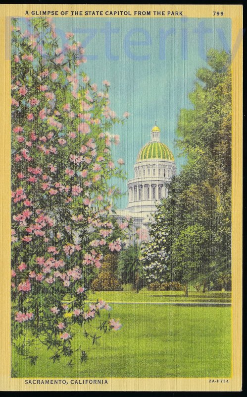 A GLIMPSE OF THE CAPITOL FROM THE PARK  SACRAMENTO CAL.  (2A-H724) #1