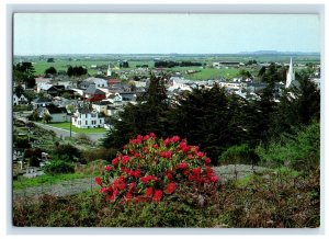 Vintage Ferndale, California. Postcard 7XE