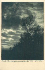 Germany lot artist A. Sauer Ernste Stimmung aus ernster Zeit tree landscapes