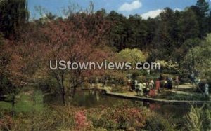 Duke Gardens in Durham, North Carolina