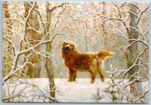 DOG Labrador Retriever in Winter Forest Snow Fun NEW Russia Postcard
