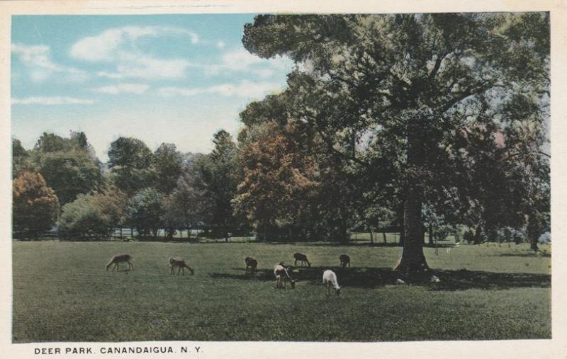 Deer Park - Canandaigua NY, New York - WB