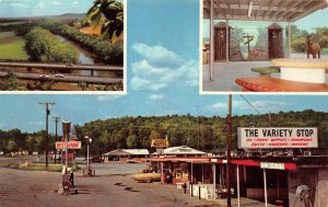 Buffalo, Tennessee TN   VARIETY SHOP Store~Cafe~Gas Station  ROADSIDE  Postcard