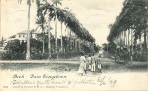 british guiana, GEORGETOWN, Brick-Dam (1899) Postcard