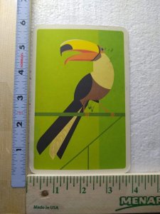 M-0470 South America Toco Toucan Ramphastos Toco