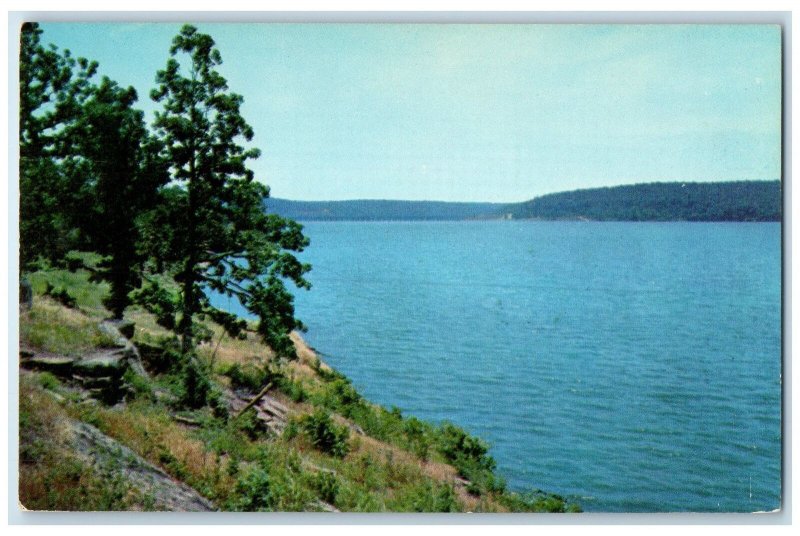 c1950 View Lake Fort Gibson Tree From Western Hills Eastern Oklahoma OK Postcard