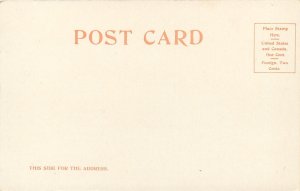 UDB Postcard 8402. Sea Beach Hotel, Trolleys, Santa Cruz CA, Detroit Publishing
