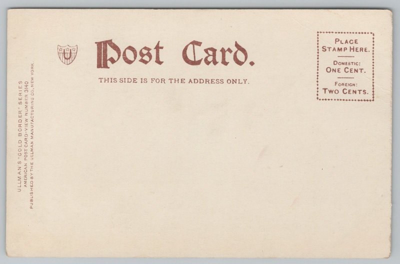St Louis Missouri~Missouri Pacific Railway Building~c1905 Gold Border Postcard