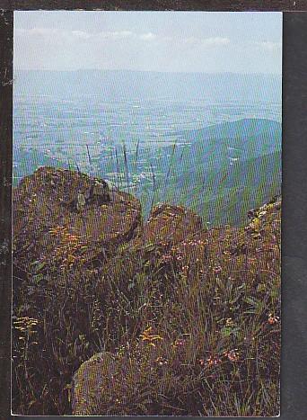 Shenandoah National Park VA Postcard BIN 