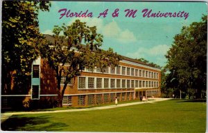 Postcard SCHOOL SCENE Tallahassee Florida FL AK3433