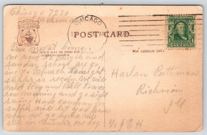 Chicago Illinois~Lincoln Park~Polar Bear~c1910 Postcard