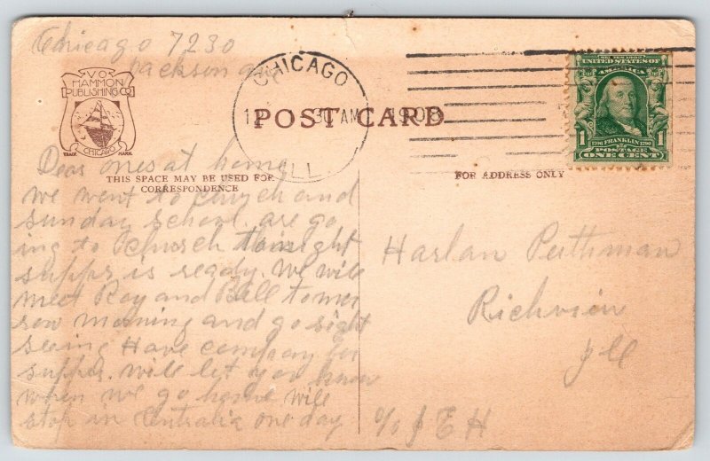 Chicago Illinois~Lincoln Park~Polar Bear~c1910 Postcard