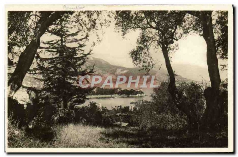 Modern Postcard Beaulieu View Between the Olives