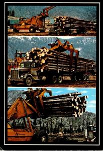 Logging Scenes Williams Lake British Columbia