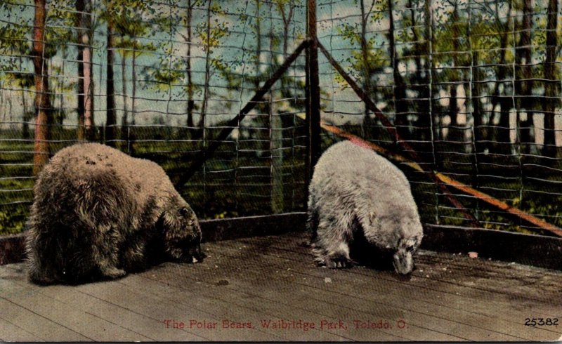 Ohio Toledo Walbridge Park Polar Bears