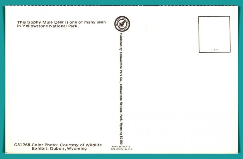 Wyoming, Mule Deer In Yellowstone -- [WY-164]