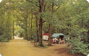 SAWYER, Michigan MI ~ WARREN DUNES STATE PARK  Campers~Tents  ROADSIDE Postcard