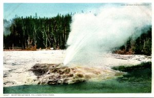 Yellowstone National Park Mortar Geyser Detroit Publishing