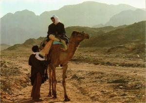 CPM EGYPTE Beduin on Camel (344015)