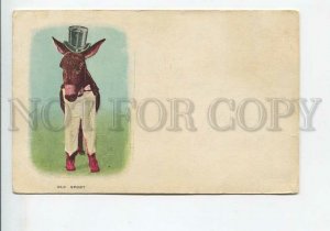 3185490 CIRCUS Old Sport DRESSED DONKEY Vintage PC