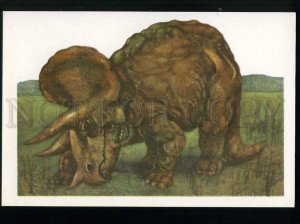 208262 RUSSIA DINOSAURS Korolev Triceratops old postcard