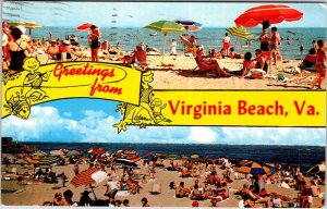 Postcard BEACH SCENE Virginia Beach Virginia VA AM9504