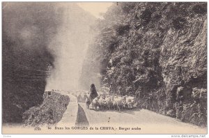 Dans les GORGES de la CHIFFA .- Berger arabe , 00-10s