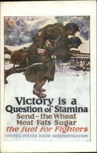 WWI Propaganda Poster Art VICTORY QUESTION OF STAMINA US Food Admin PC