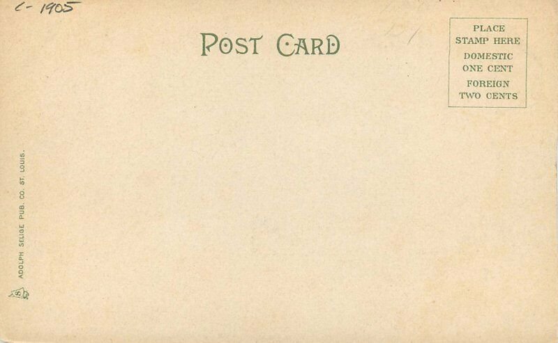 C-1905 Home Among Daises Santa Barbara California Selige Postcard 20-6525