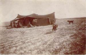 Syrie - Campement de Bedouins sous leur tente, chiens, Carte photo 1928 (corr...