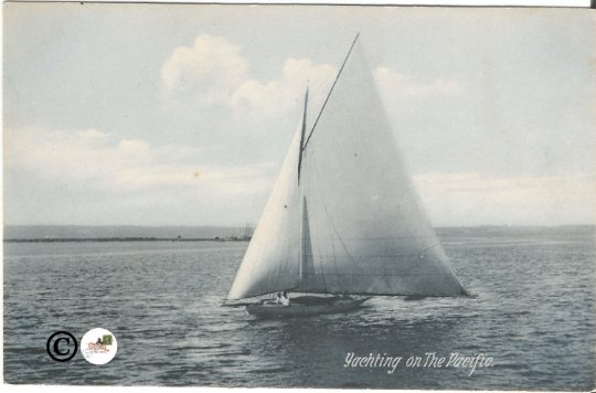 Yachting on The Pacific in Blue Gray tones Sailboat on Open Sea Newman Postcard