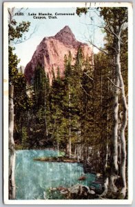 Vtg Utah UT Lake Blanche Cottonwood Canyon 1920s View Old WB Postcard