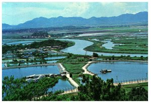 Aerial View China Looking Across Border at Lok Ma Chau Postcard