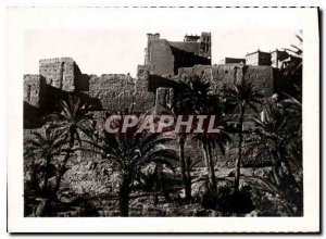 Modern Postcard Kasbah and Palmeriae