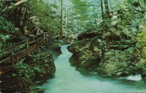 Upper Canyon, Bushkill Falls, Pa.        PC