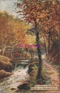 Devon Postcard - Footbridge Near Watersmeet, Lynton, Art, Posted 1908 - RS39120